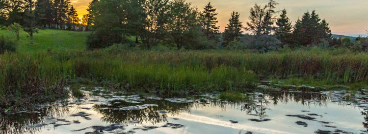Nature - Guysborough